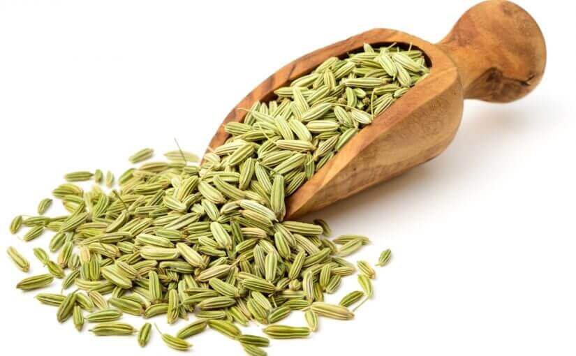 FENNEL SEEDS
