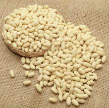 BLANCHED PEANUTS
